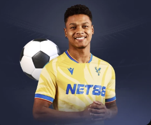 kingkong金刚v8 app下载